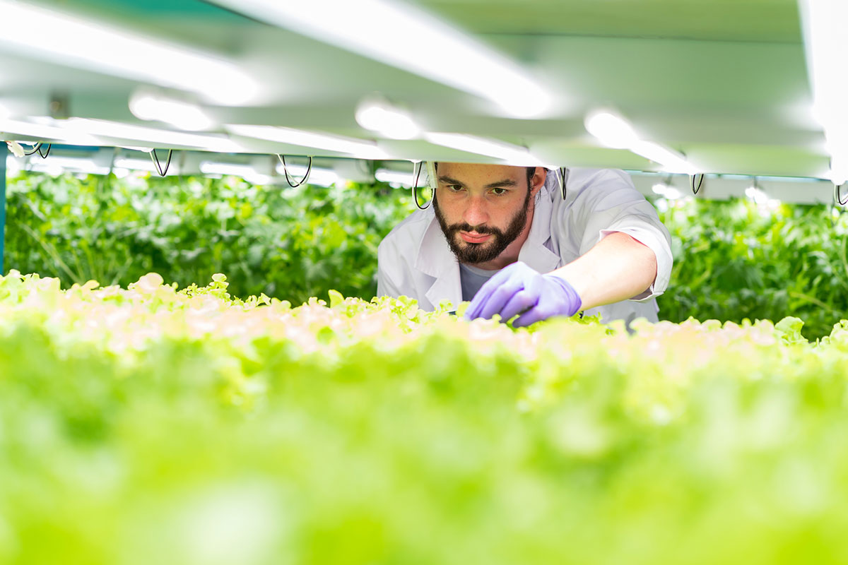 Climate Control in Vertical Farming: Part 2 – Thrive Agritech